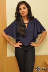 Bhanu Sri Mehra at Ala Ela Platinum Disc Function